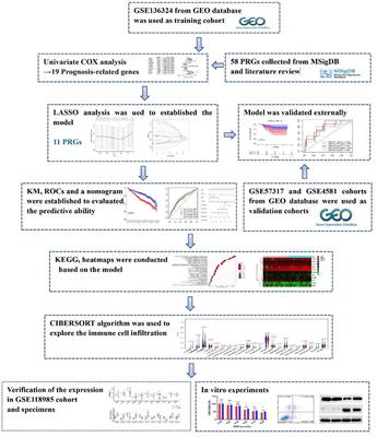 Integrative Analysis of a Pyroptosis-Related Signature of Clinical and Biological Value in Multiple Myeloma